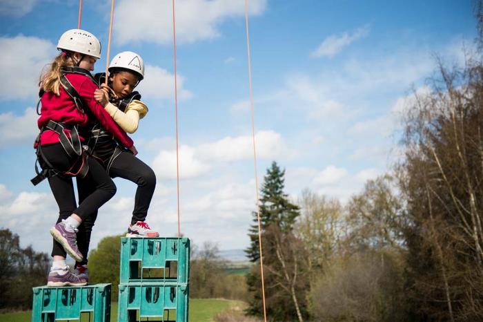 Cubs Crate Stacking
